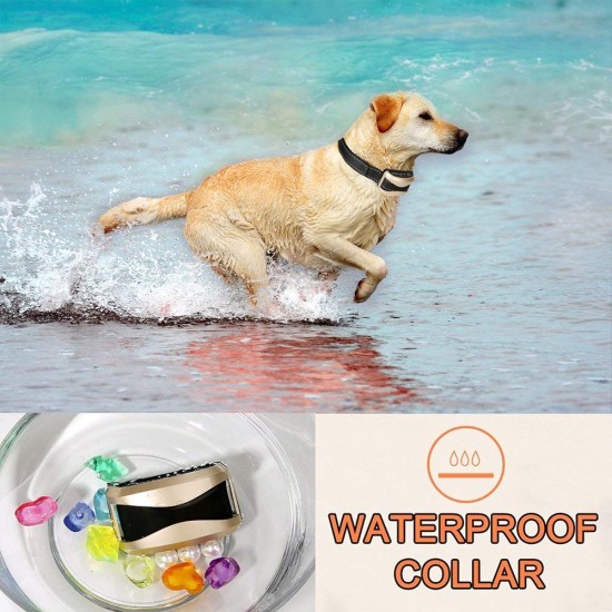 Rechargeable and Waterproof Dog Training Collars with Remote dog shock Collars