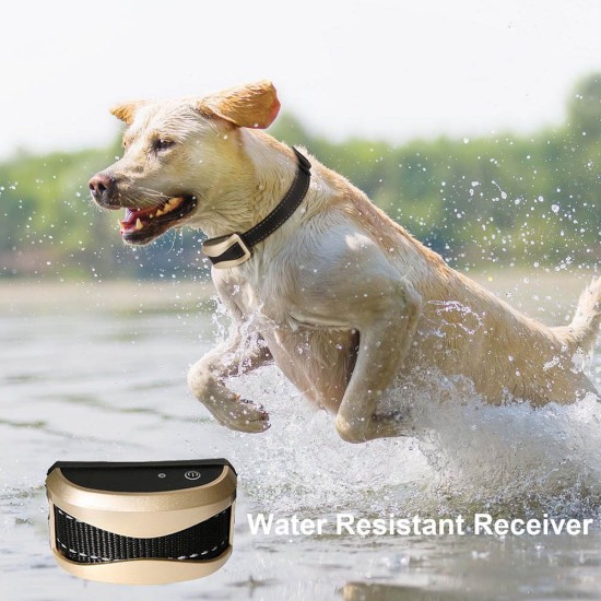 Waterproof Dog Training Collars with Remote and Rechargeable Vibrating Dog Collars for 2 Dogs
