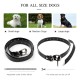 Rechargeable Remote Dog Training Collars with Waterproof Electric Dog Collars for 2 Dogs