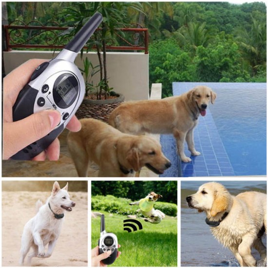 Waterproof Dog Training Collars with Remote Rechargeable Vibrating Dog Collars for 2 Dogs
