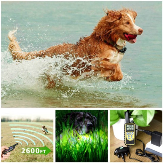 Dog Training Collars Remote Rechargeable and Waterproof Electric Dog Collars for 2 Dogs