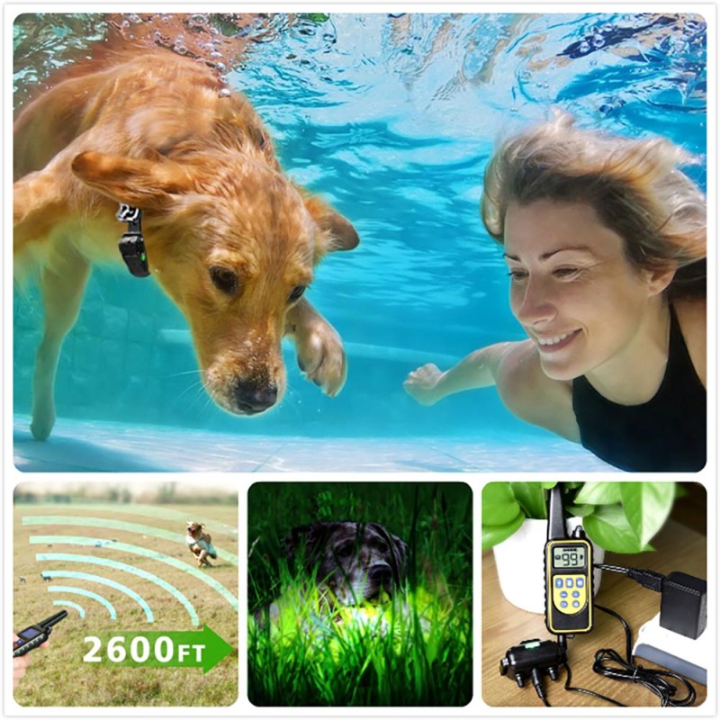 Dog Training Collars Remote Rechargeable and waterproof Vibrating Dog Collars for 3 Dogs Dog Training Collars Remote Rechargeable and waterproof Vibrating Dog Collars for 3 Dogs