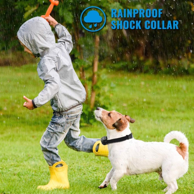Dog Training Collar with Waterproof and Rechargeable Remote Electric Dog Collars Dog Training Collar with Waterproof and Rechargeable Remote Electric Dog Collars