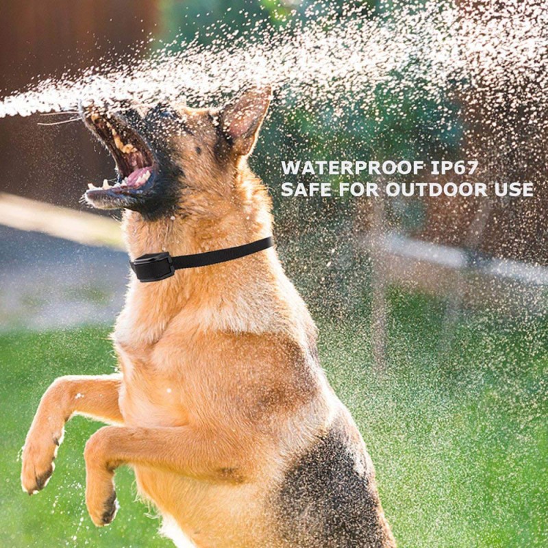 Rechargeable Remote Dog Training Collars with Waterproof Dog Shock Collars for 2 Dogs Rechargeable Remote Dog Training Collars with Waterproof Dog Shock Collars for 2 Dogs